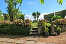 Quinta das Buganvilias